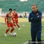 FIFA ASEAN Cup 2026: Đội tuyển Việt Nam đối mặt bài toán khó khi thiếu vắng Quang Hải